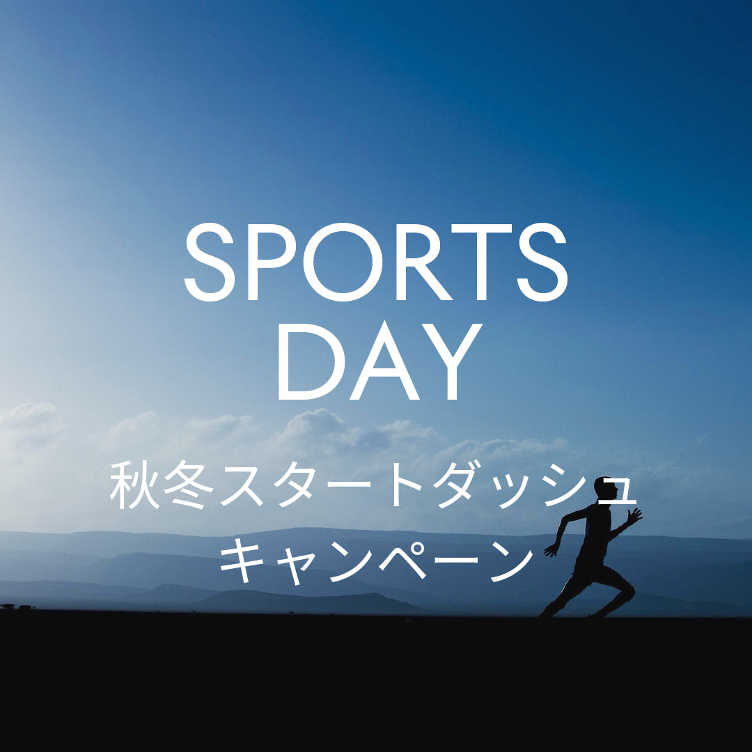 超美品 デサント 高機能S.I.Oウェア 上下Lサイズ DESCENTE デサント S.I.O スキーウェア上下 Lサイズ DESCENTE