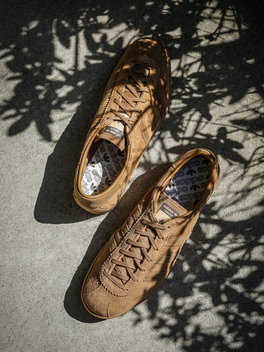 adidas TOBACCO （Brown Dessert × Cardboard × Gum） - Osaka / Kyoto