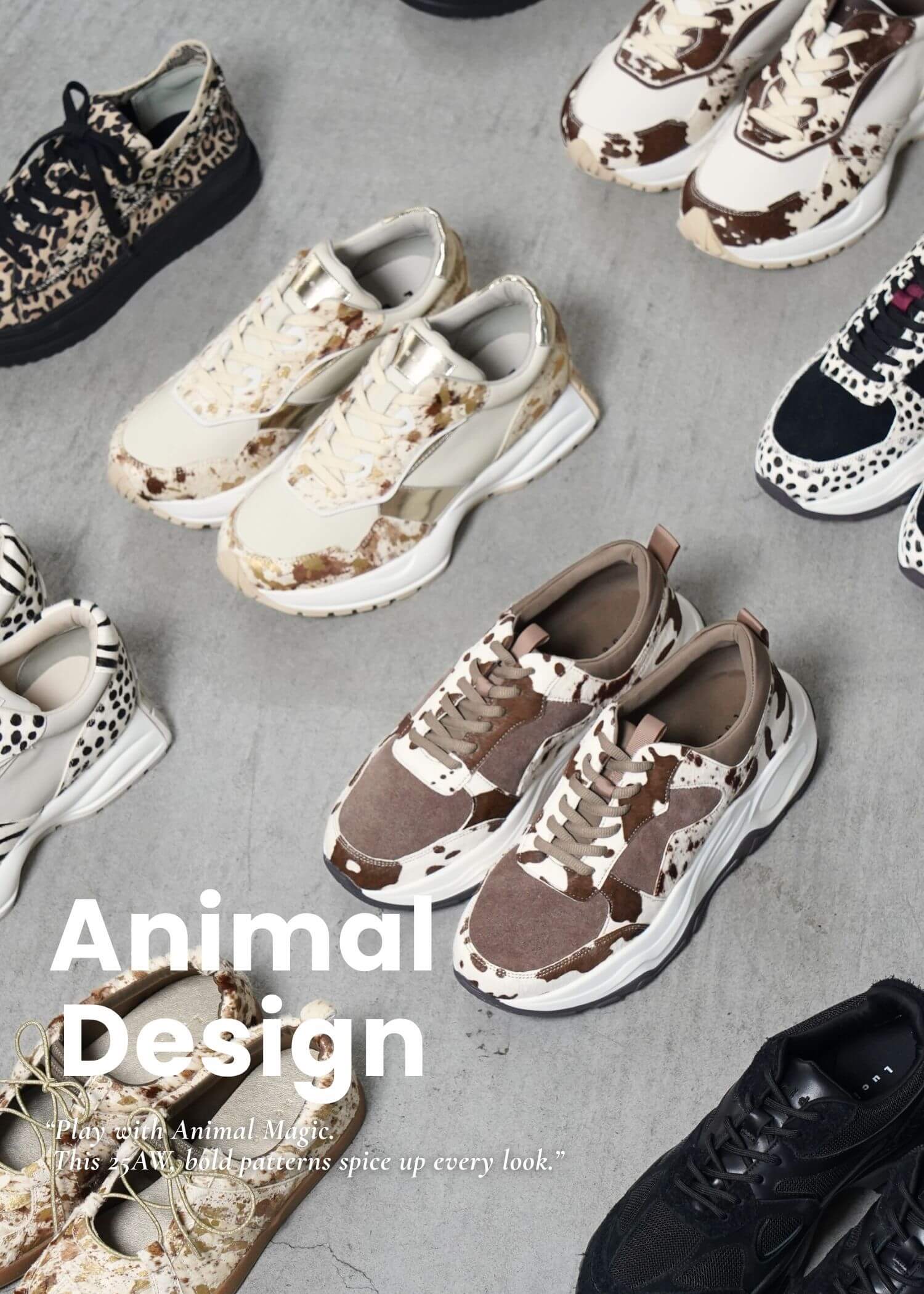 ルシーダDX Lucida (ルシーダ) 公式オンラインストア